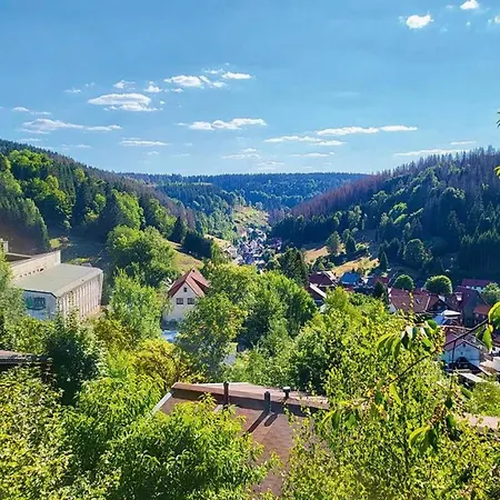 Werrapark Ferienhaeuser Am Sommerberg Premium Semesterbostad *